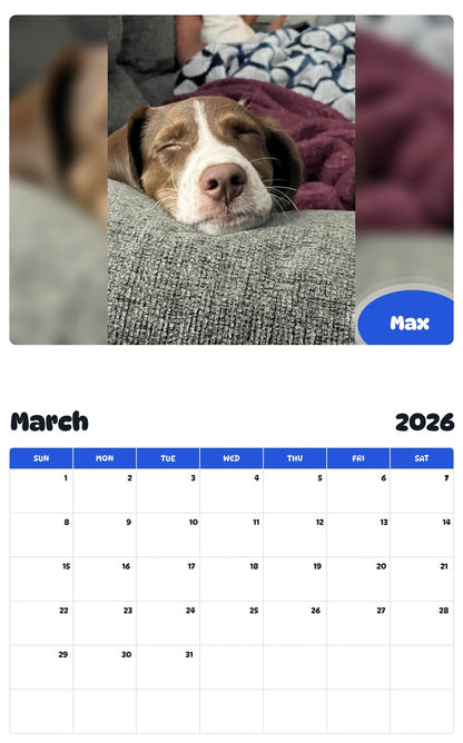 November 2025 - October 2026 Max - Pawidols Pet Calendar