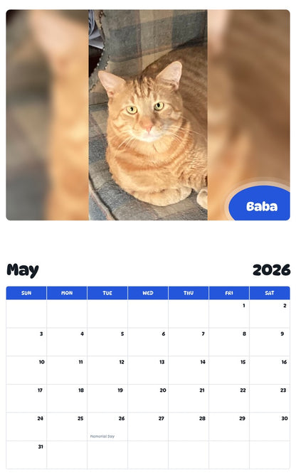 2026 - 2027 Baba - Pawidols Pet Calendar