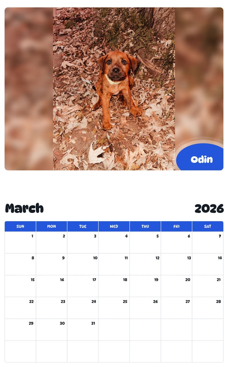 November 2025 - October 2026 Odin - Pawidols Pet Calendar