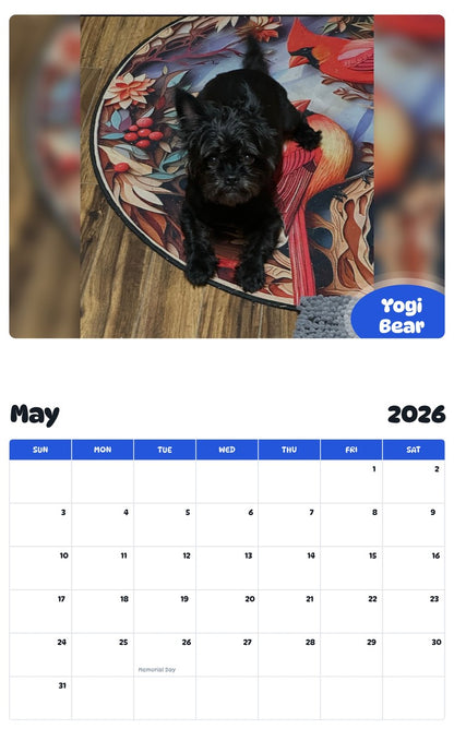 2026 - 2027 Yogi Bear - Pawidols Pet Calendar
