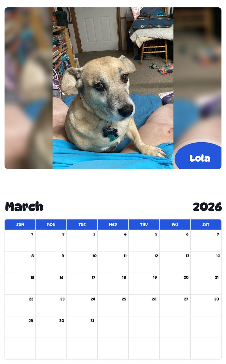 November 2025 - October 2026 Lola - Pawidols Pet Calendar