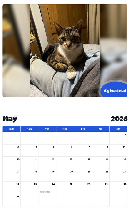 2026 - 2027 Big head Ned - Pawidols Pet Calendar