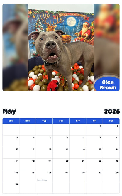 2026 - 2027 Bleu Brown - Pawidols Pet Calendar