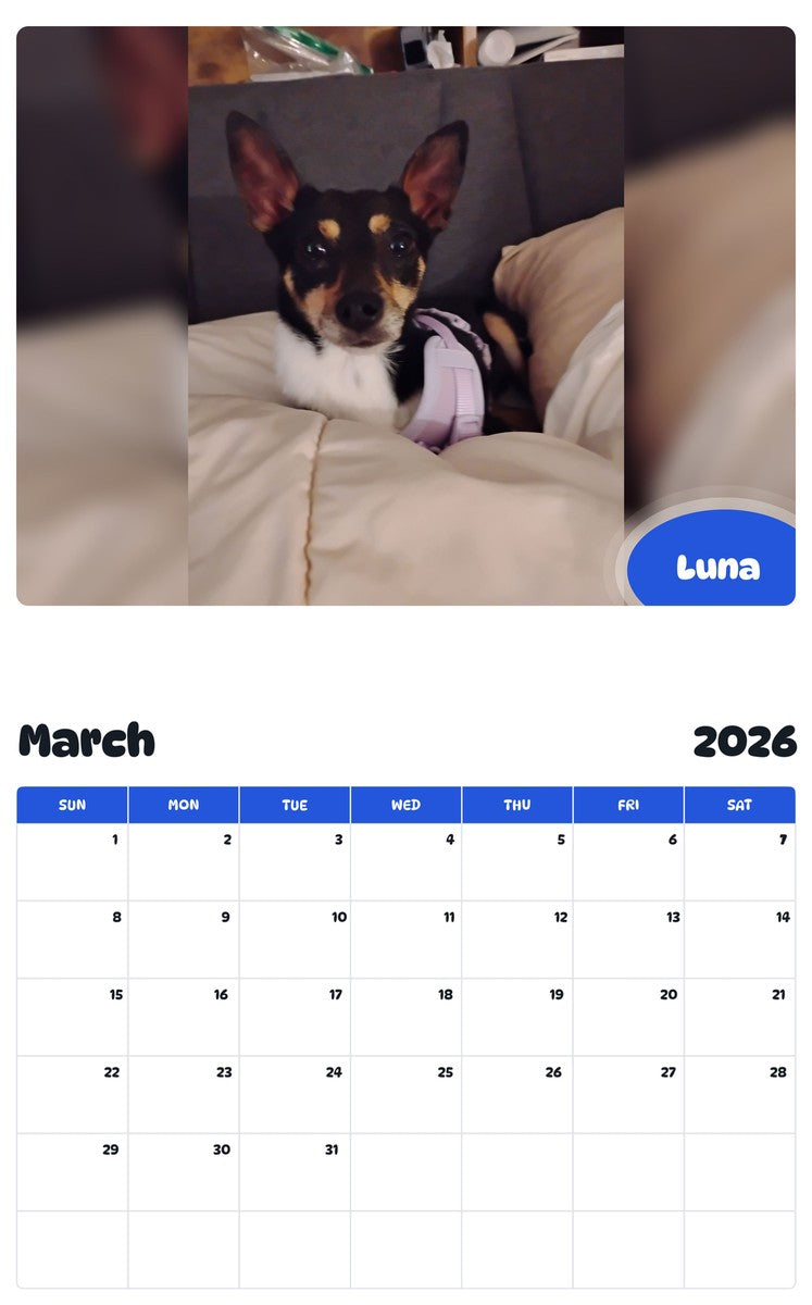 November 2025 - October 2026 Luna - Pawidols Pet Calendar