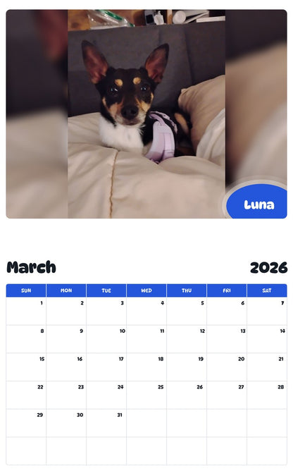 November 2025 - October 2026 Luna - Pawidols Pet Calendar
