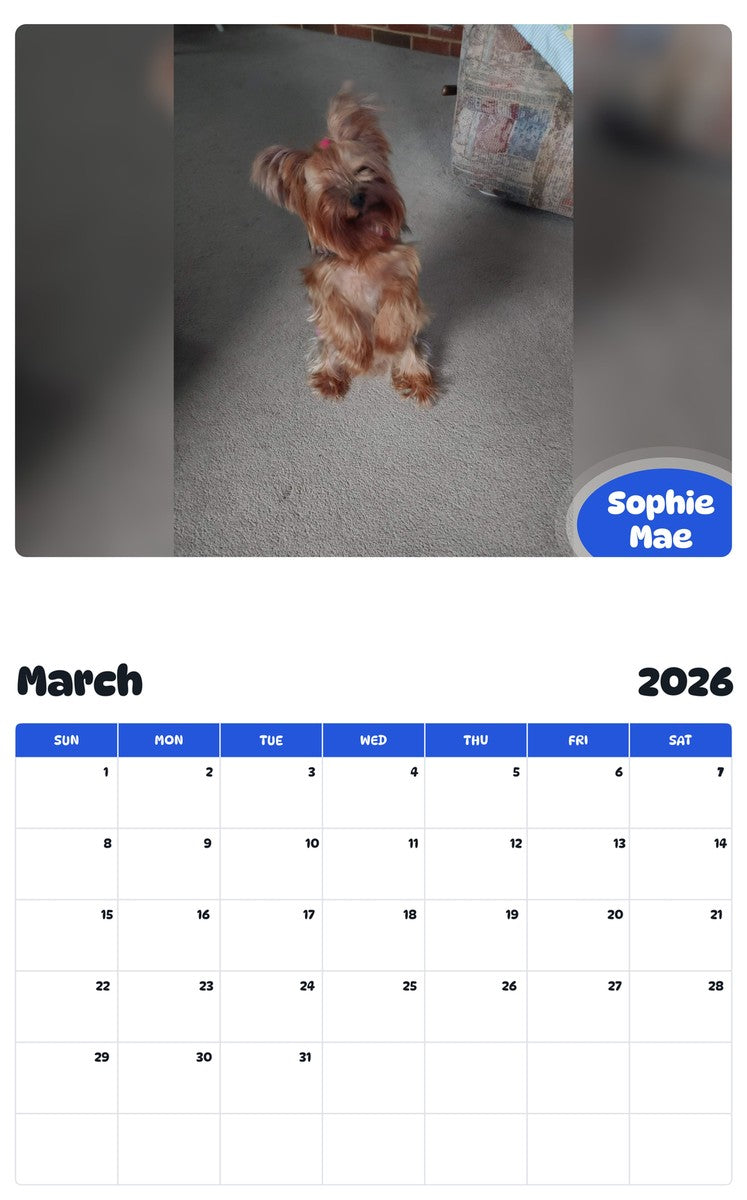 November 2025 - October 2026 Sophie Mae - Pawidols Pet Calendar