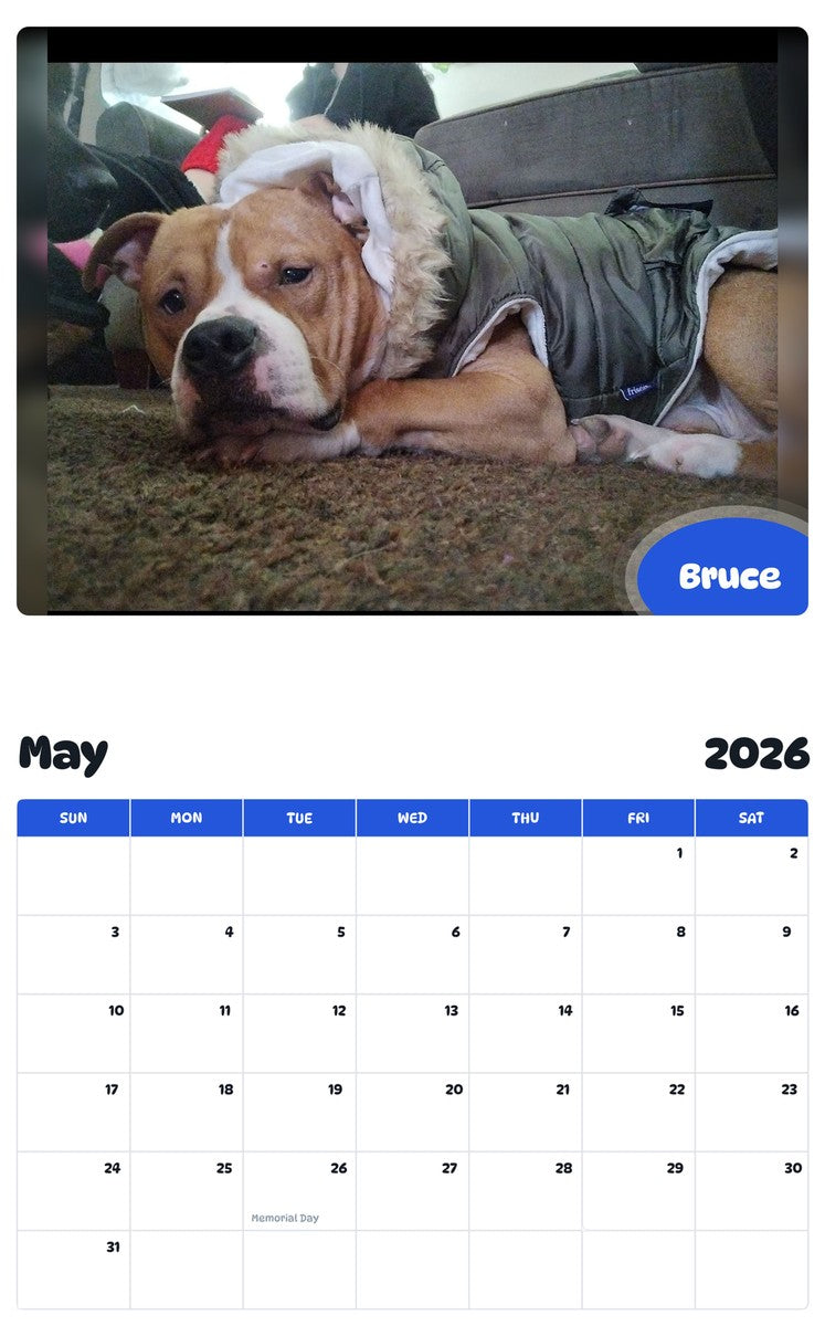 2026 - 2027 Bruce - Pawidols Pet Calendar