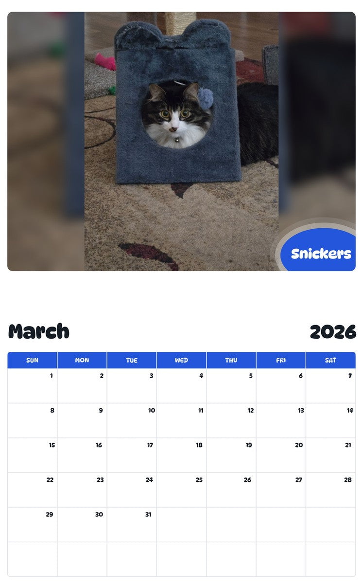 November 2025 - October 2026 Snickers - Pawidols Pet Calendar