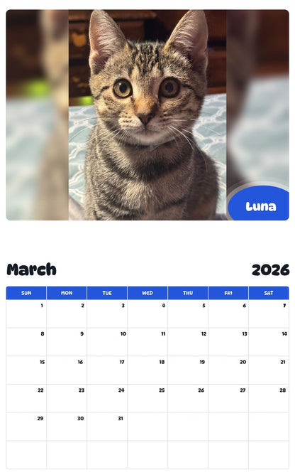 November 2025 - October 2026 Luna - Pawidols Pet Calendar