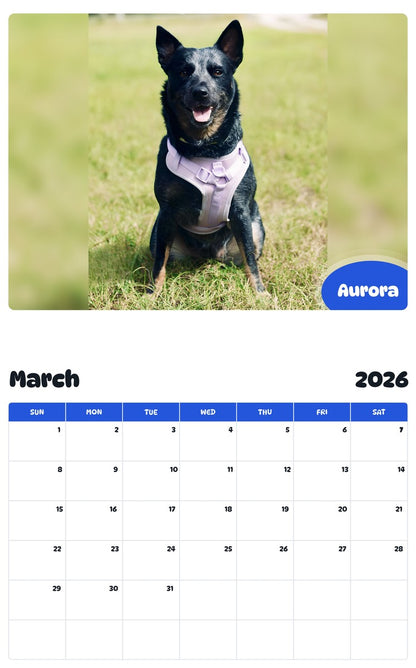 November 2025 - October 2026 Aurora - Pawidols Pet Calendar