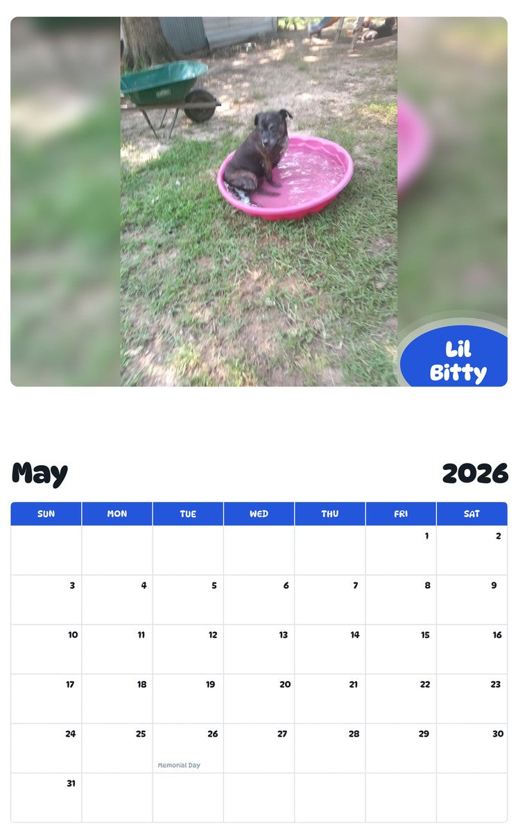 2026 - 2027 Lil Bitty - Pawidols Pet Calendar