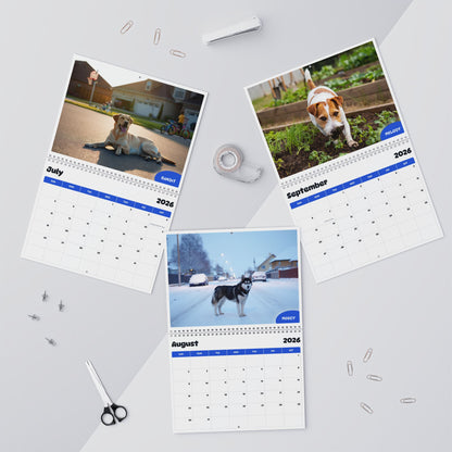 8427-l49i5k30vnyoueatx1l49i5kppli3m12