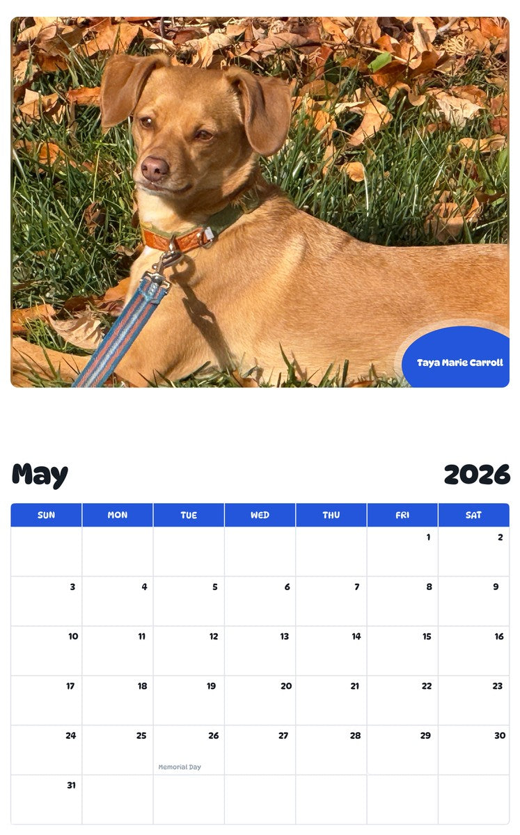 2026 - 2027 Taya Marie Carroll - Pawidols Pet Calendar