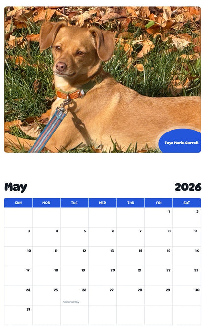 2026 - 2027 Taya Marie Carroll - Pawidols Pet Calendar