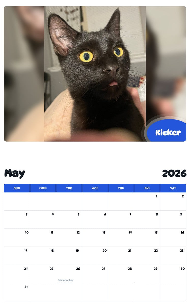 2026 - 2027 Kicker - Pawidols Pet Calendar