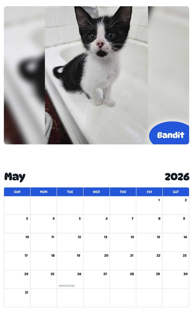 2026 - 2027 Bandit - Pawidols Pet Calendar