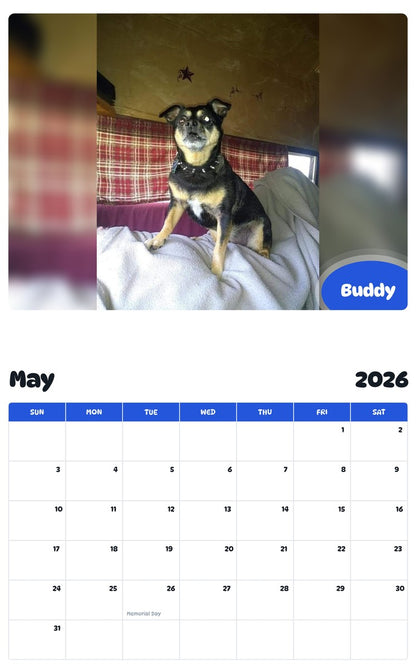 2026 - 2027 Buddy - Pawidols Pet Calendar
