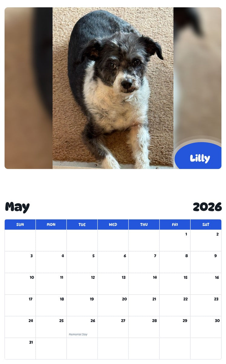 2026 - 2027 Lilly - Pawidols Pet Calendar
