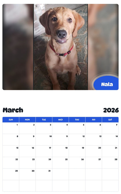 November 2025 - October 2026 Nala - Pawidols Pet Calendar