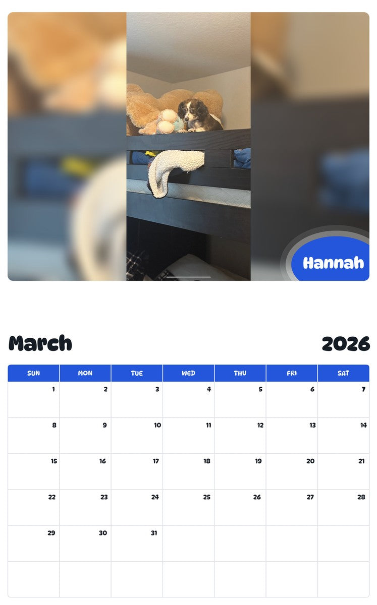November 2025 - October 2026 Hannah - Pawidols Pet Calendar