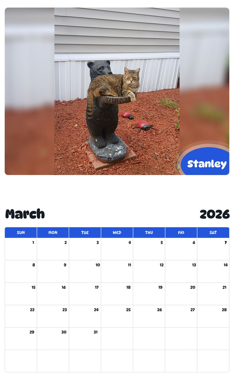 November 2025 - October 2026 Stanley - Pawidols Pet Calendar