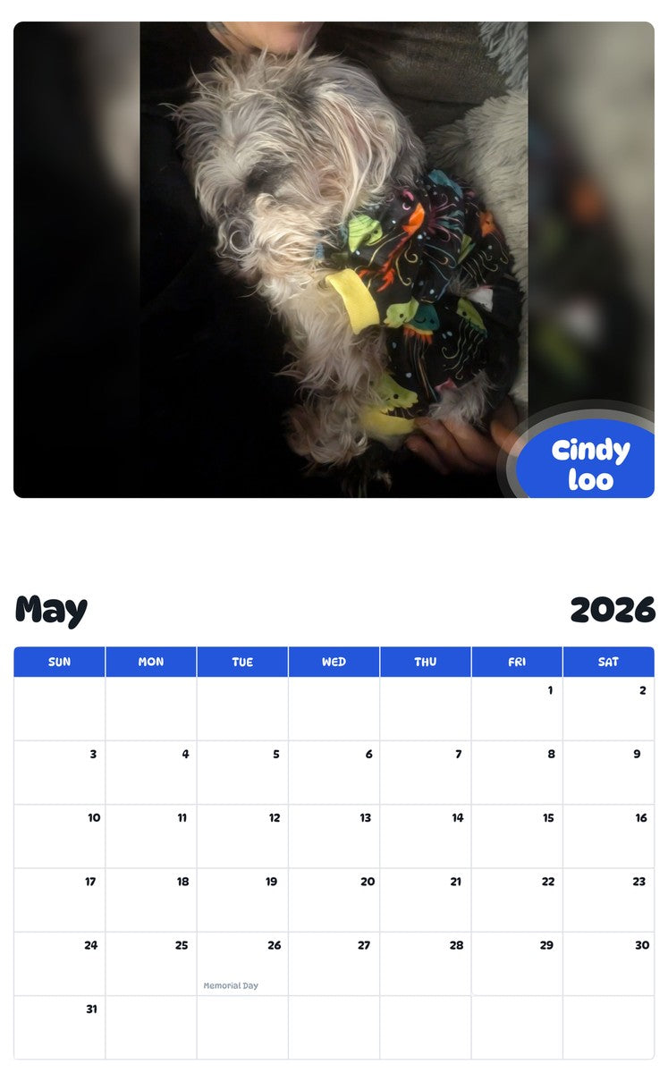 2026 - 2027 Cindy loo - Pawidols Pet Calendar