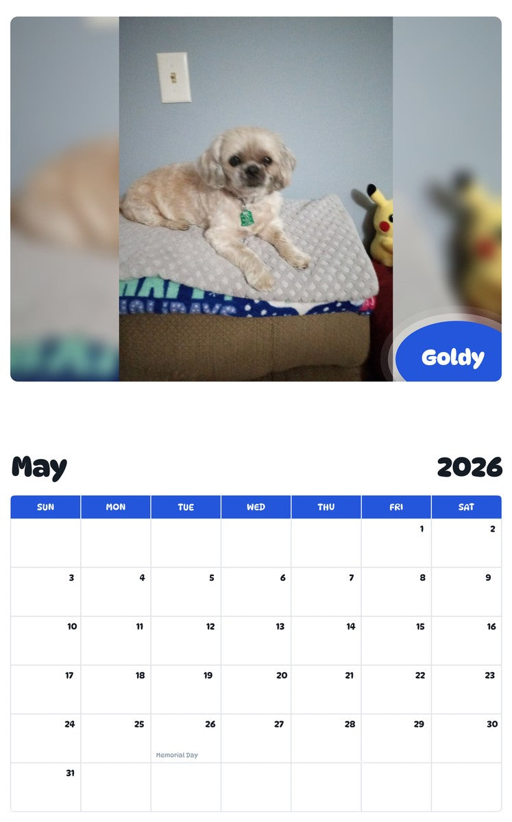 2026 - 2027 Goldy - Pawidols Pet Calendar