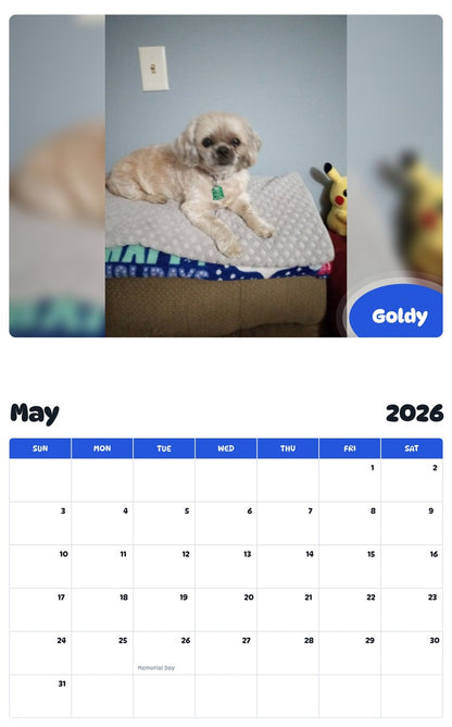 2026 - 2027 Goldy - Pawidols Pet Calendar