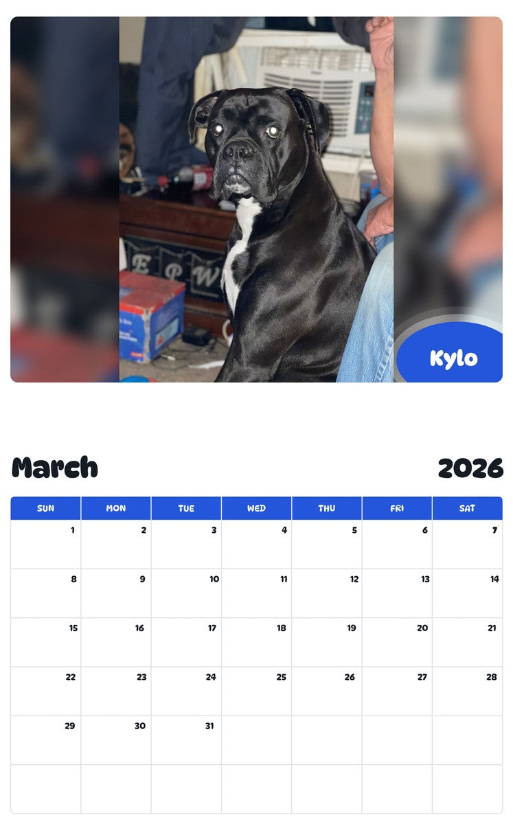 November 2025 - October 2026 Kylo - Pawidols Pet Calendar