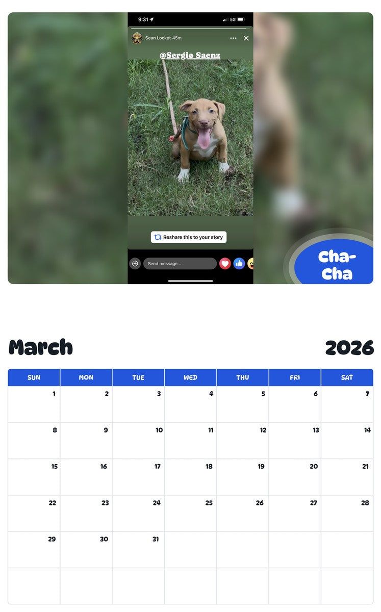November 2025 - October 2026 Cha-Cha - Pawidols Pet Calendar