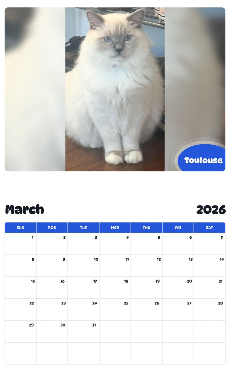 November 2025 - October 2026 Toulouse - Pawidols Pet Calendar