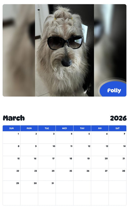 November 2025 - October 2026 Polly - Pawidols Pet Calendar