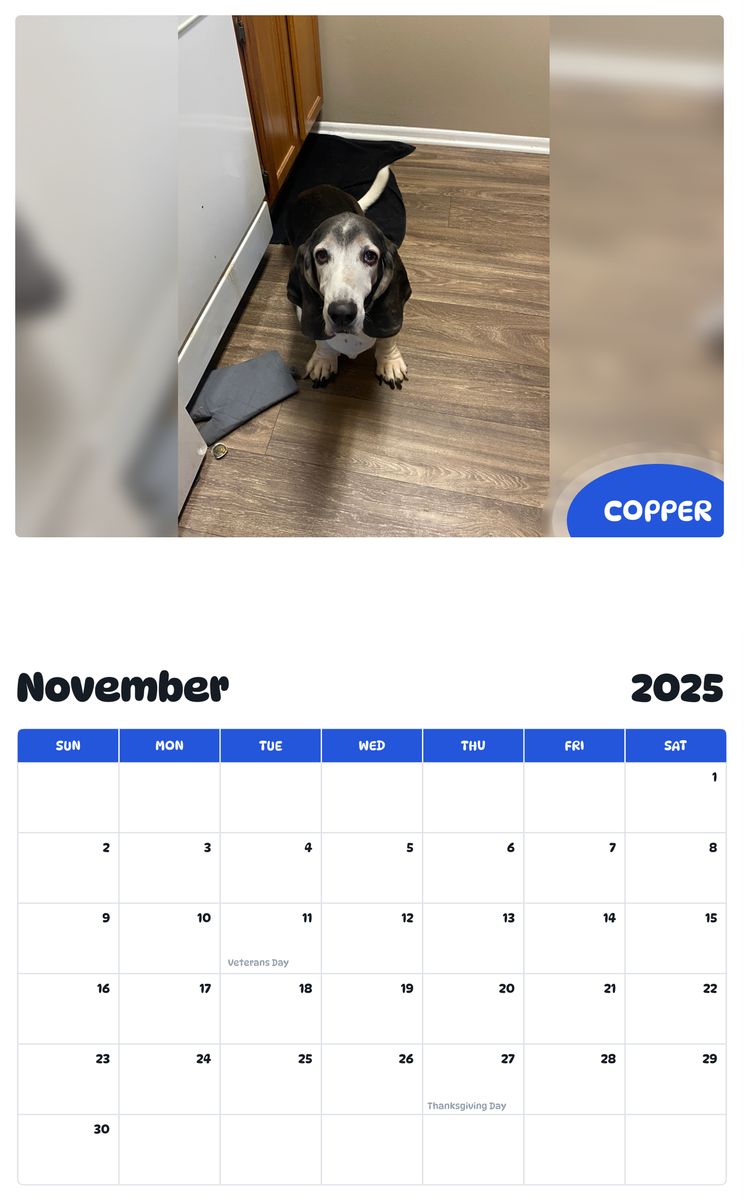 July 2025 - June 2026 copper - Pawidols Pet Calendar