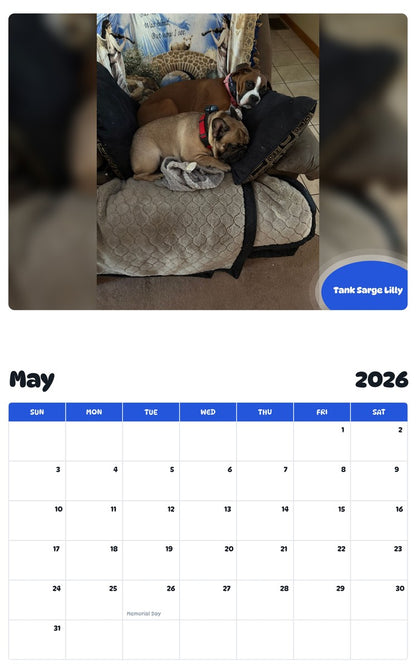 2026 - 2027 Tank Sarge Lilly - Pawidols Pet Calendar