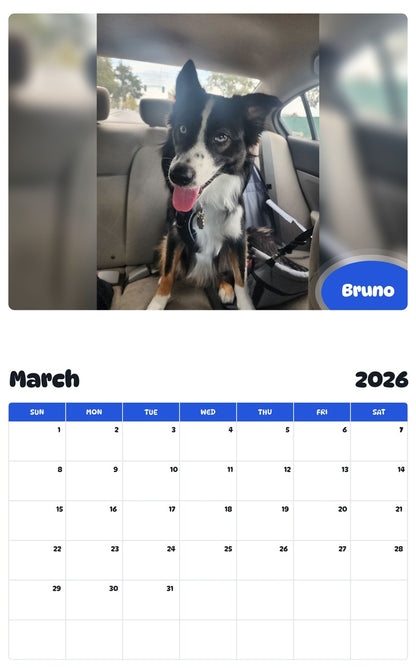 November 2025 - October 2026 Bruno - Pawidols Pet Calendar