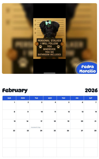 October 2025 - September 2026 Pedra Morcilio - Pawidols Pet Calendar
