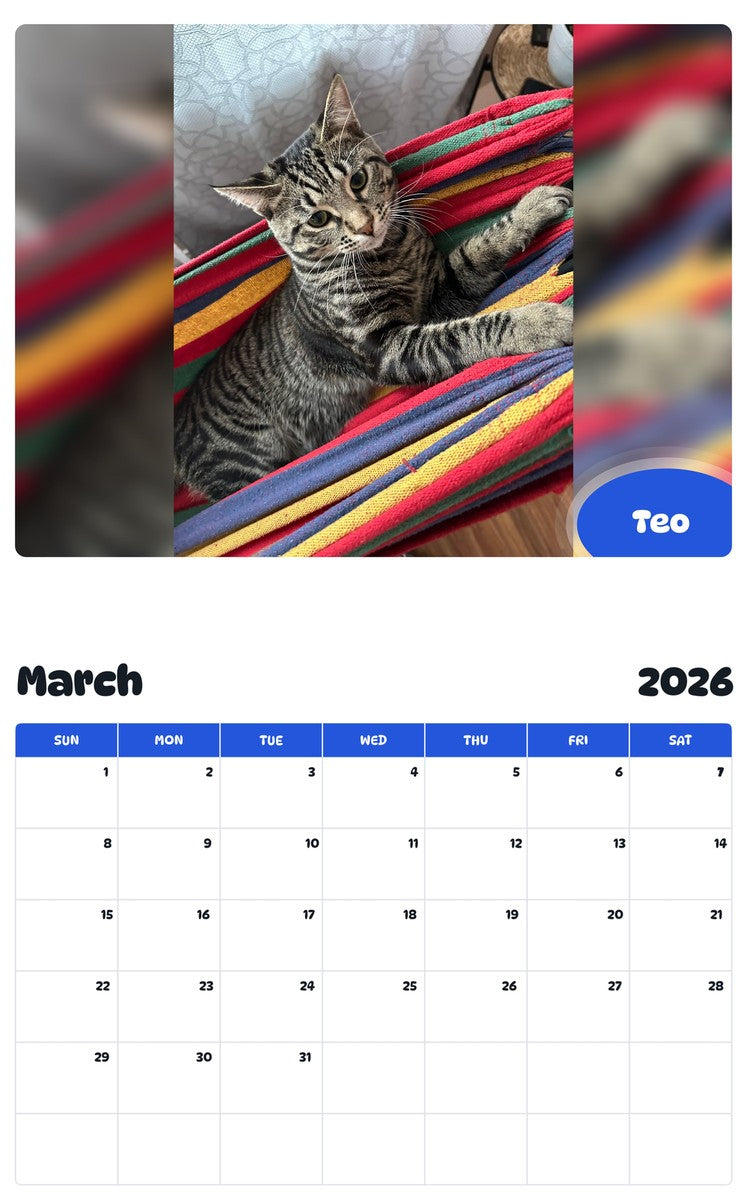 November 2025 - October 2026 Teo - Pawidols Pet Calendar