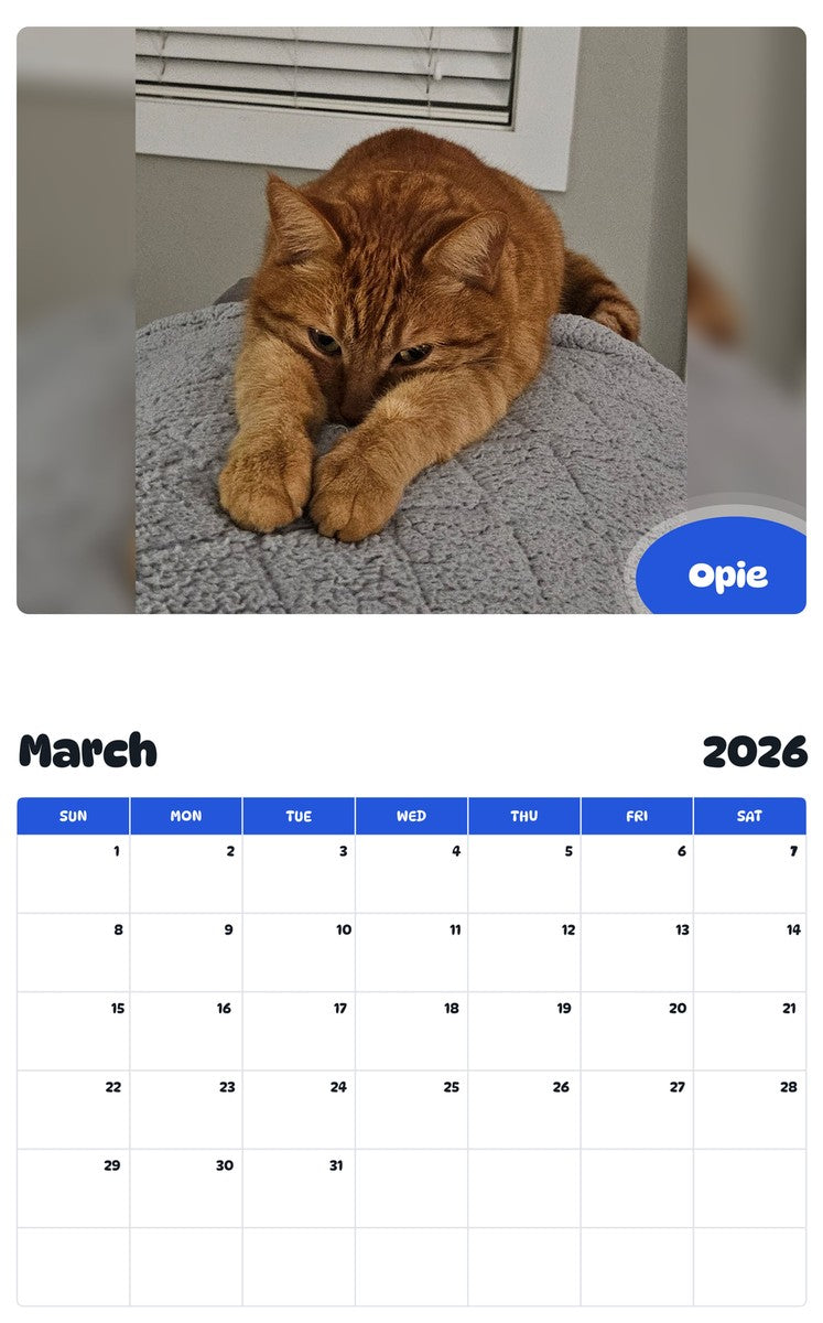 November 2025 - October 2026 Opie - Pawidols Pet Calendar