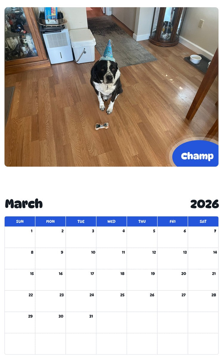 November 2025 - October 2026 Champ - Pawidols Pet Calendar