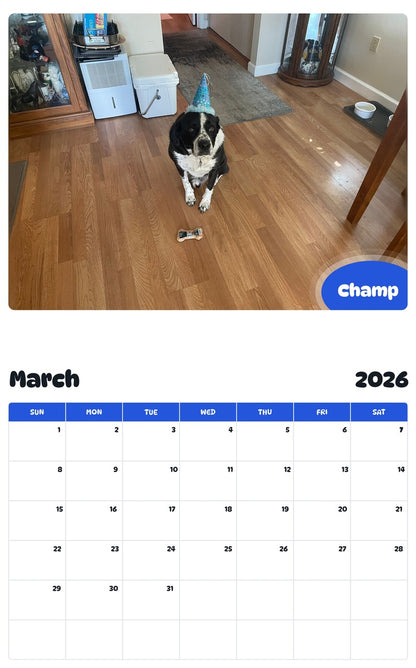 November 2025 - October 2026 Champ - Pawidols Pet Calendar