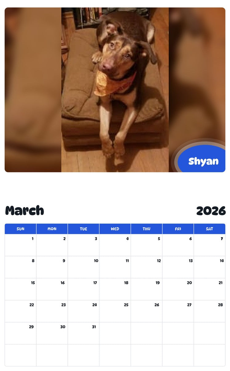 November 2025 - October 2026 Shyan - Pawidols Pet Calendar