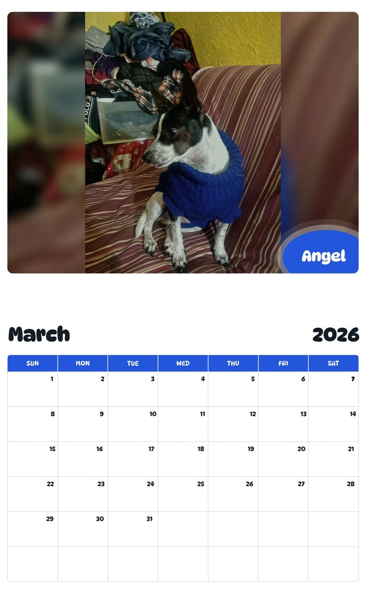 November 2025 - October 2026 Angel - Pawidols Pet Calendar