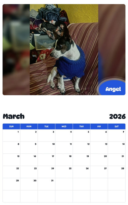 November 2025 - October 2026 Angel - Pawidols Pet Calendar