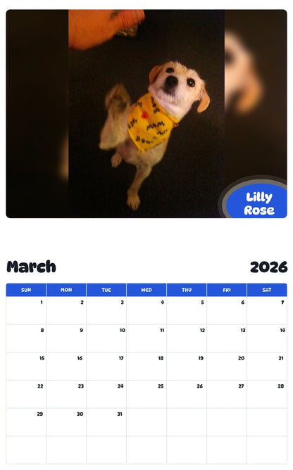 November 2025 - October 2026 Lilly Rose - Pawidols Pet Calendar