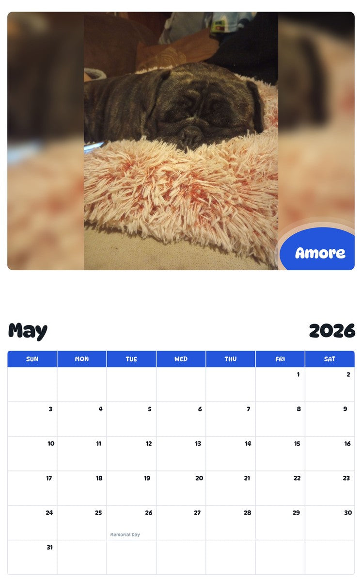 2026 - 2027 Amore - Pawidols Pet Calendar