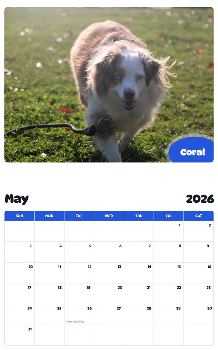2026 - 2027 Coral - Pawidols Pet Calendar