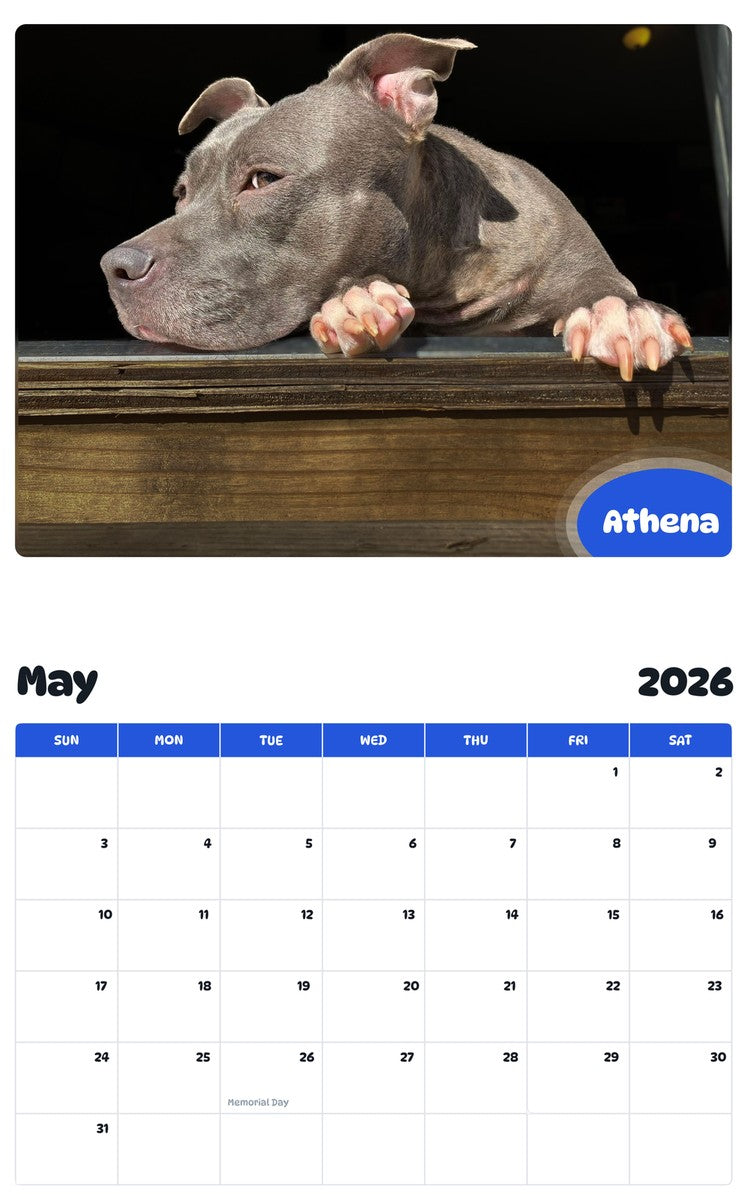 2026 - 2027 Athena - Pawidols Pet Calendar