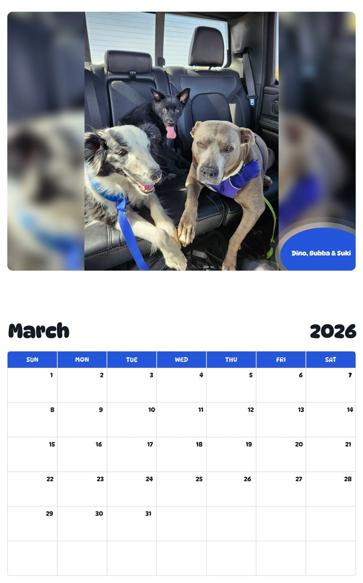 November 2025 - October 2026 Dino, Bubba & Suki - Pawidols Pet Calendar