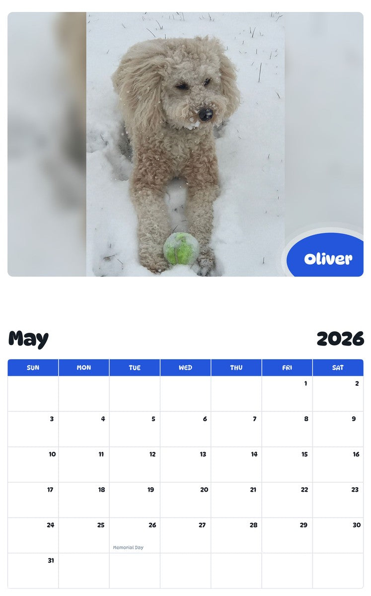 2026 - 2027 Oliver - Pawidols Pet Calendar
