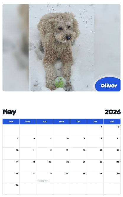 2026 - 2027 Oliver - Pawidols Pet Calendar